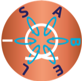 The European Synchrotron Radiation Facility