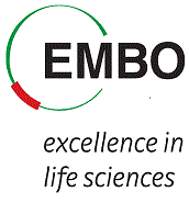 EMBO 2022